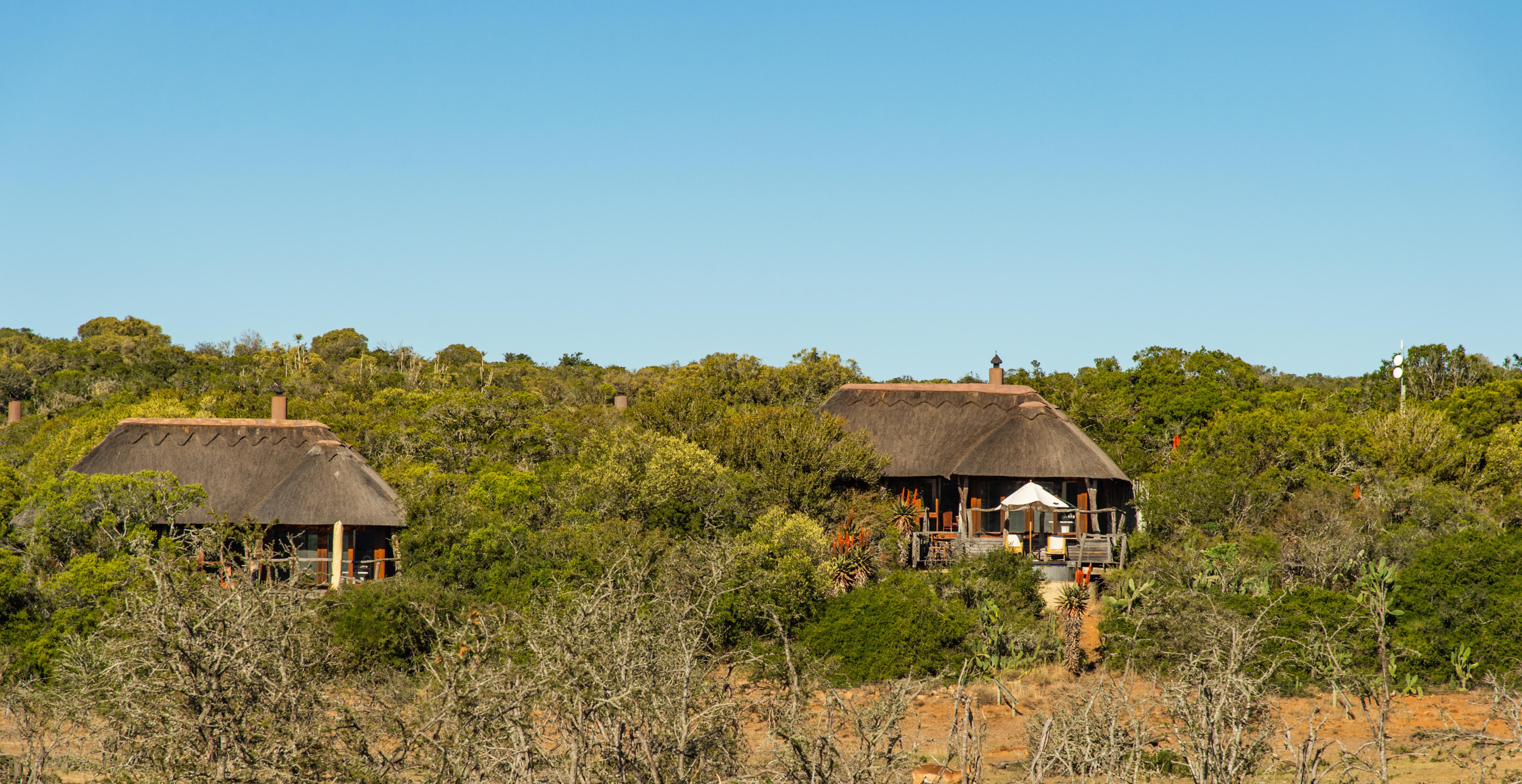 Pumba Private Game Reserve Порт-Елізабет Екстер'єр фото