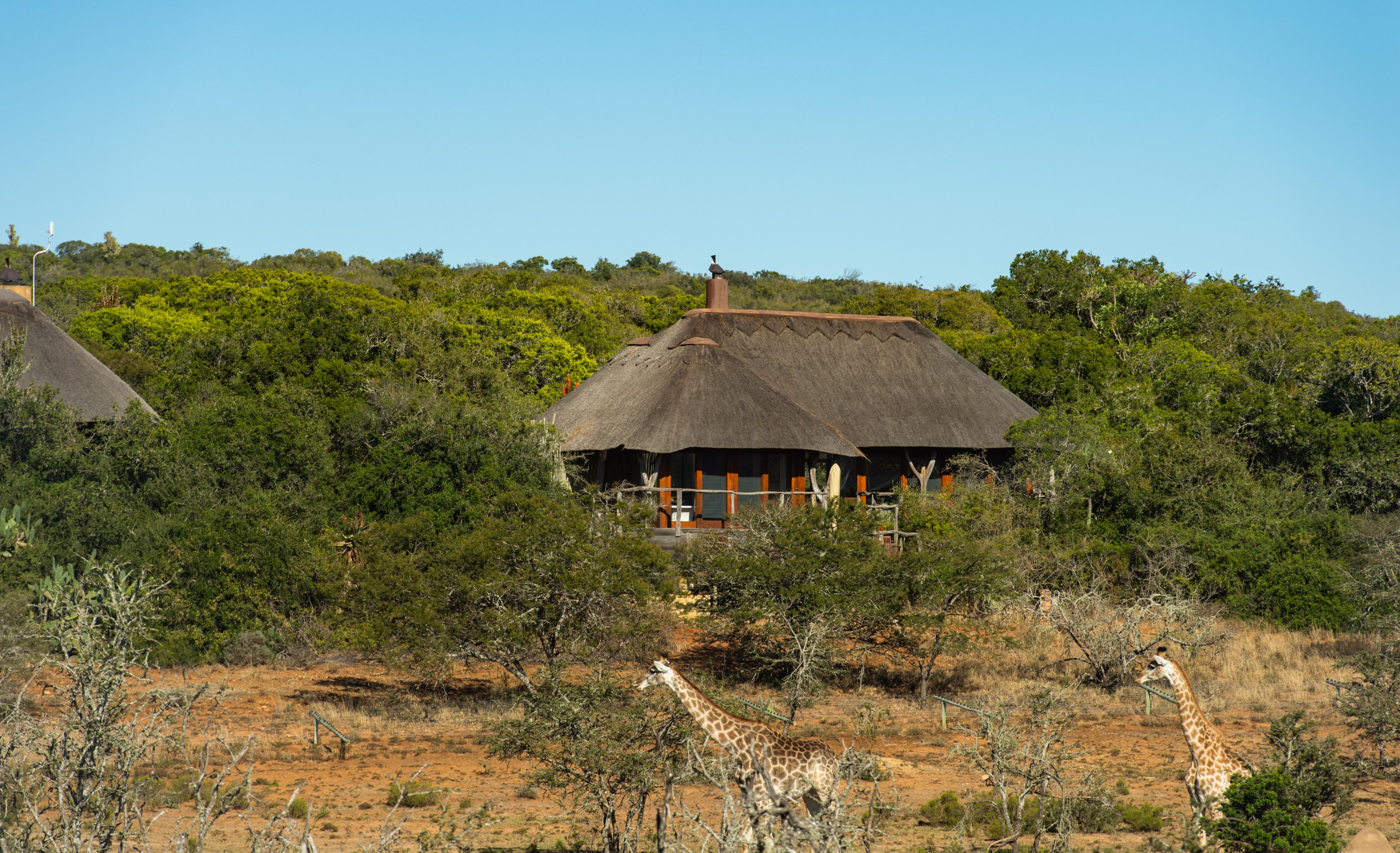 Pumba Private Game Reserve Порт-Елізабет Екстер'єр фото