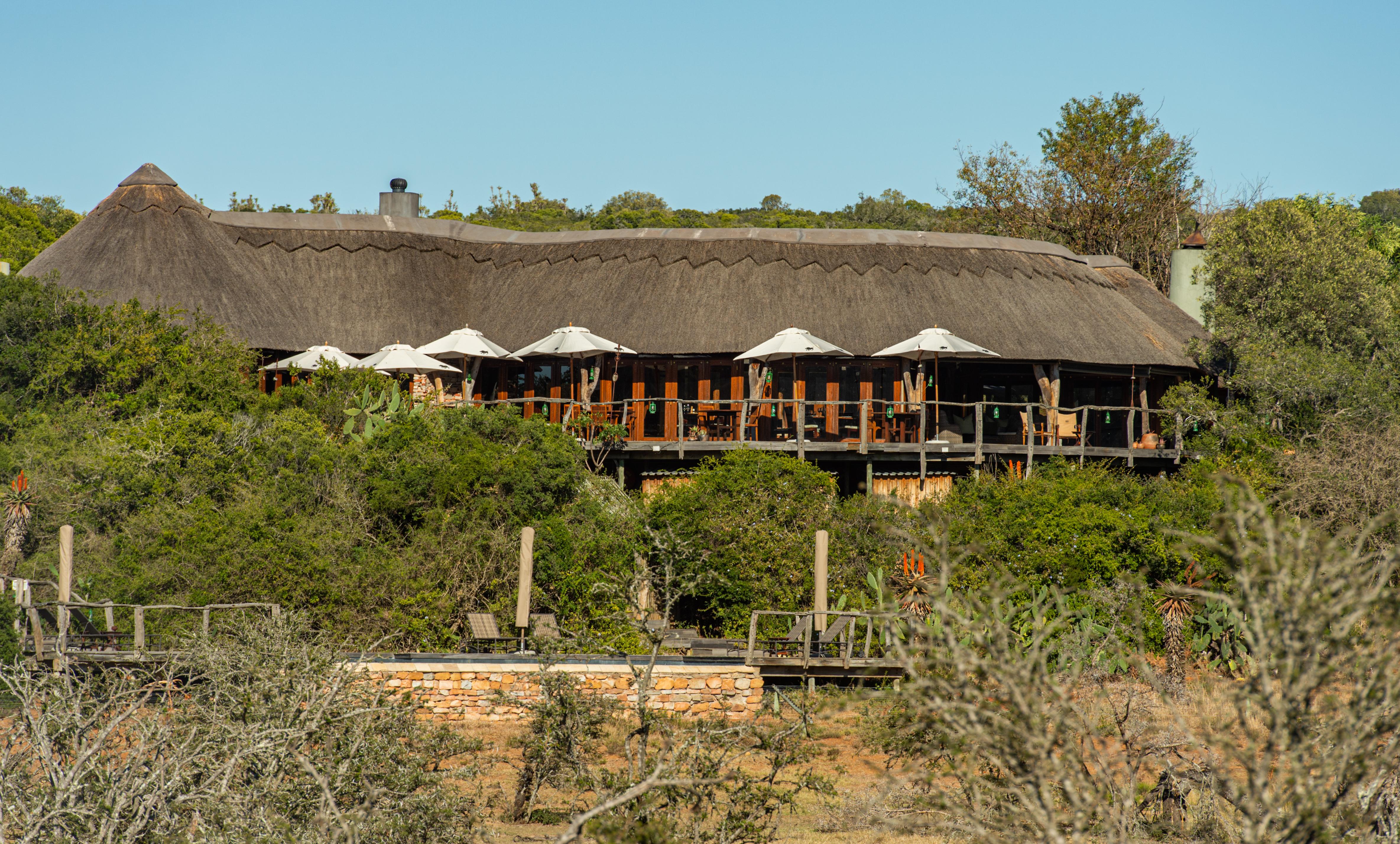 Pumba Private Game Reserve Порт-Елізабет Екстер'єр фото
